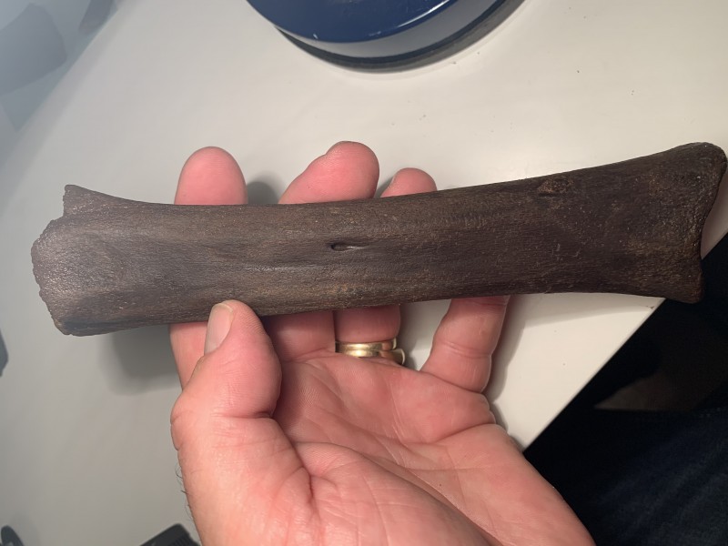 85720E5C-5D8F-43EB-89C7-705A19B1BE50.jpeg (2.05 MiB) 801 keer bekeken 85720E5C-5D8F-43EB-89C7-705A19B1BE50.jpeg