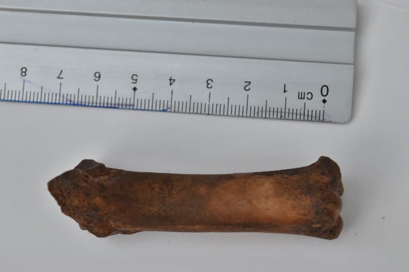 NIF_0016.JPG