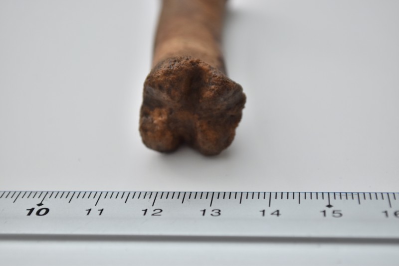 NIF_0014.JPG