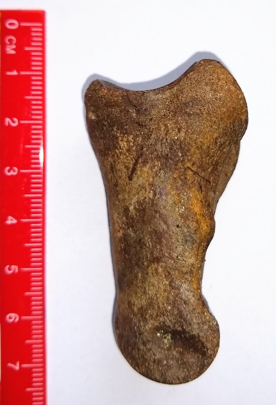 IMG_20200906_112134948.jpg (523.32 KiB) 1225 keer bekeken IMG_20200906_112134948.jpg