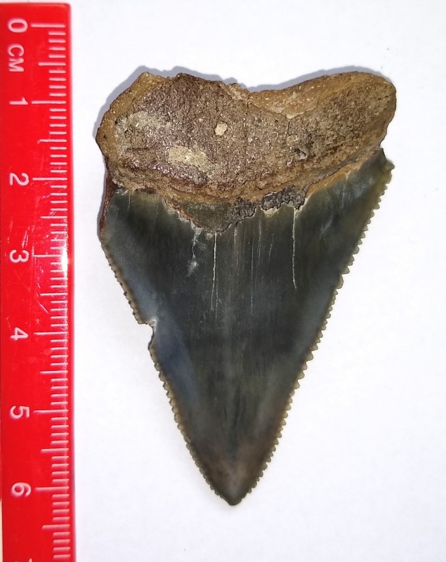 IMG_20200906_112052943.jpg (507.92 KiB) 1225 keer bekeken IMG_20200906_112052943.jpg