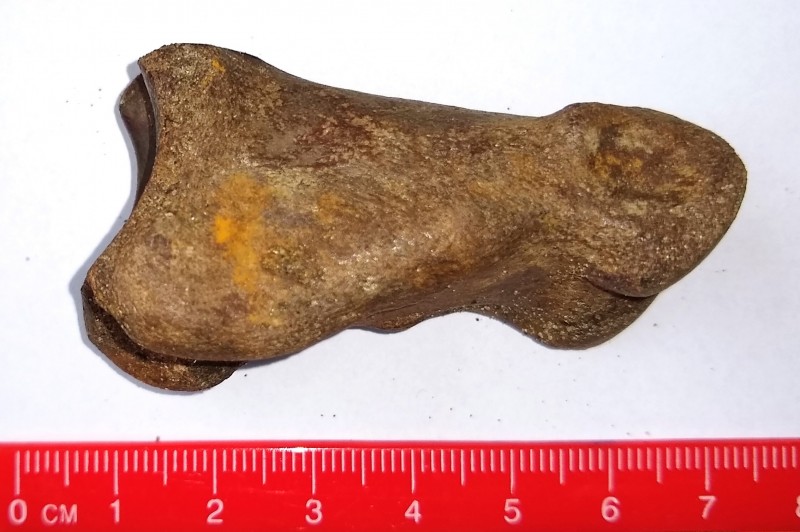 IMG_20200906_112119517.jpg (512.93 KiB) 1225 keer bekeken IMG_20200906_112119517.jpg