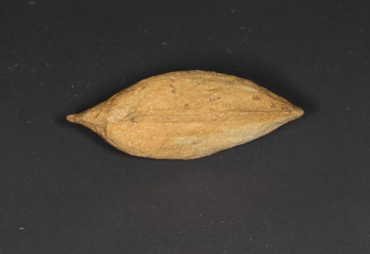 Bovenzijde