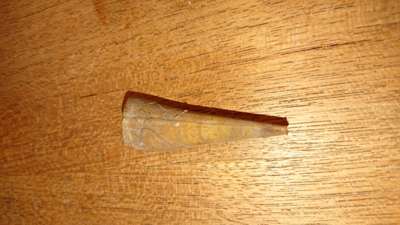 IMG-20200908-WA0022.jpg