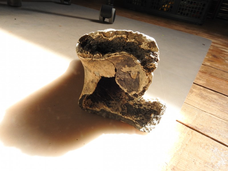 DSCN9683.JPG