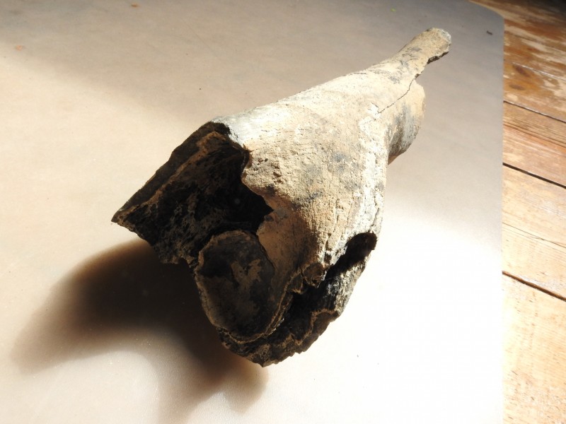 DSCN9685.JPG