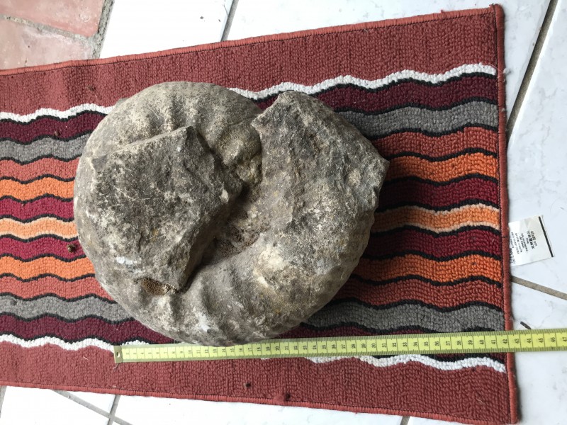 image.jpg (3.42 MiB) 570 keer bekeken Ligt in mijn huis in de Cher, Frankrijk