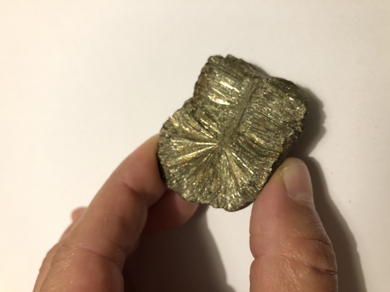 CF608F4C-1186-4688-9537-24D3E3D3F974.jpeg (1.55 MiB) 992 keer bekeken CF608F4C-1186-4688-9537-24D3E3D3F974.jpeg