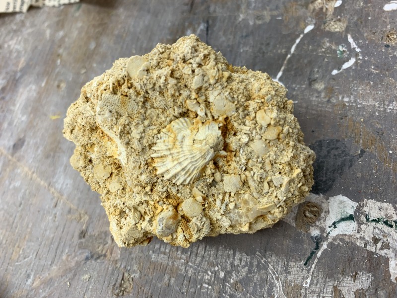 IMG_7054.JPG (3.75 MiB) 466 keer bekeken IMG_7054.JPG