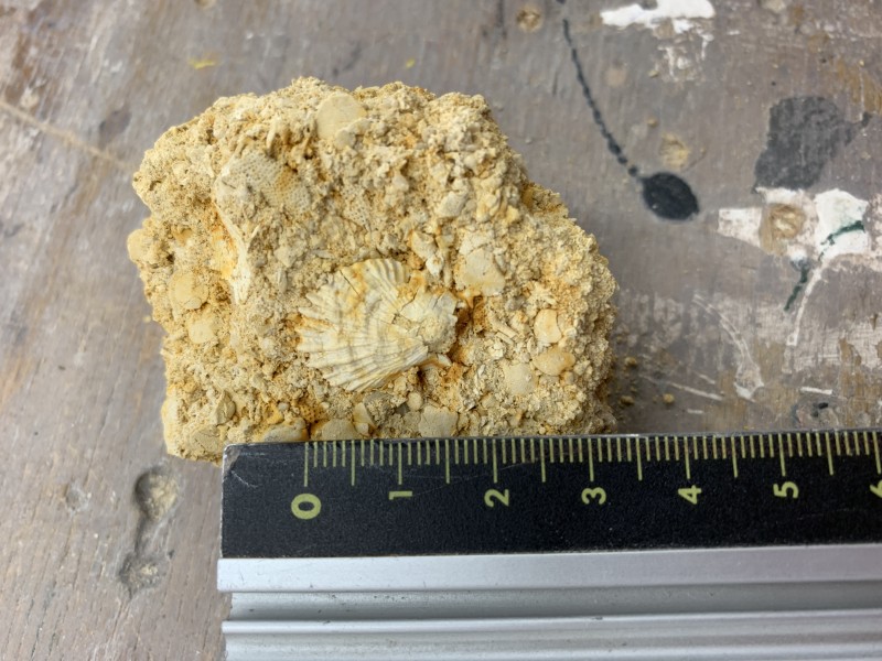 IMG_7055.JPG (3.25 MiB) 467 keer bekeken IMG_7055.JPG