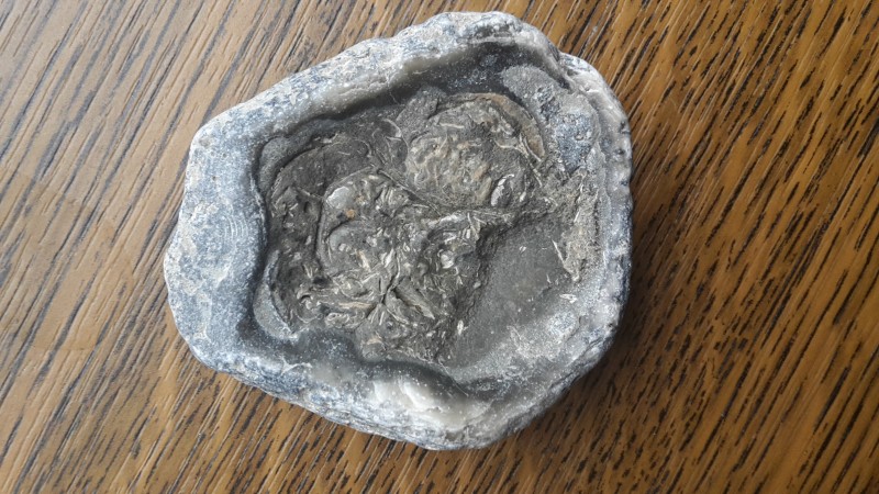 20201003_171641.jpg