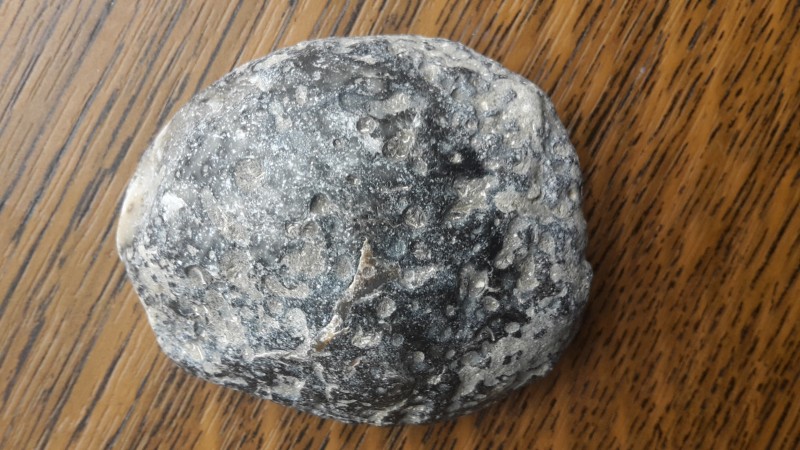 20201003_171655.jpg