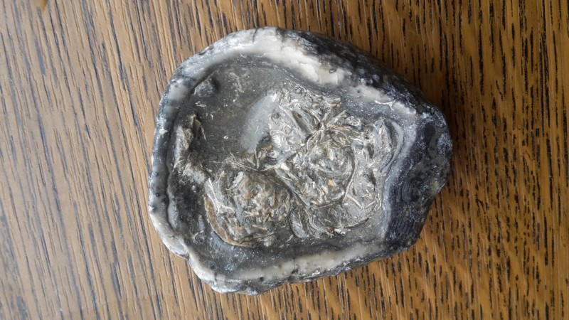 20201004_100309.jpg