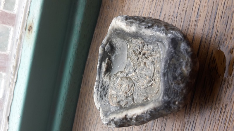 20201004_100350.jpg
