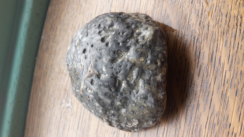20201004_100415.jpg