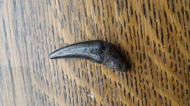 20201006_144657.jpg