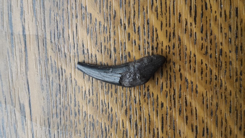 20201006_144737.jpg