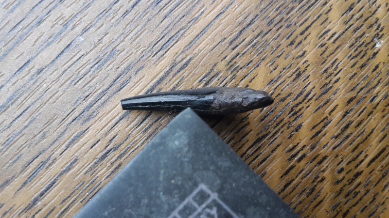 20201006_144847.jpg