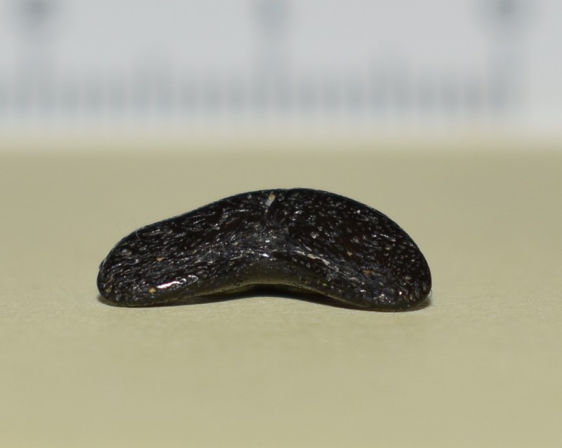 onderkant