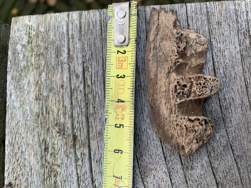 9CDF82D2-5DDC-4138-9082-6D5875F6ADD5.jpeg (4.37 MiB) 1026 keer bekeken 9CDF82D2-5DDC-4138-9082-6D5875F6ADD5.jpeg