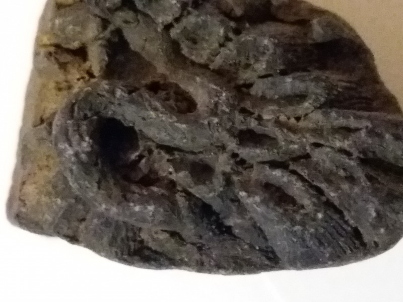 20201019_214435.jpg