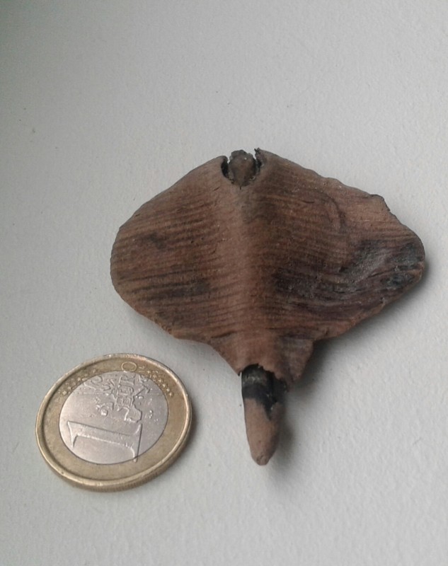 20201024_170905-3.jpg
