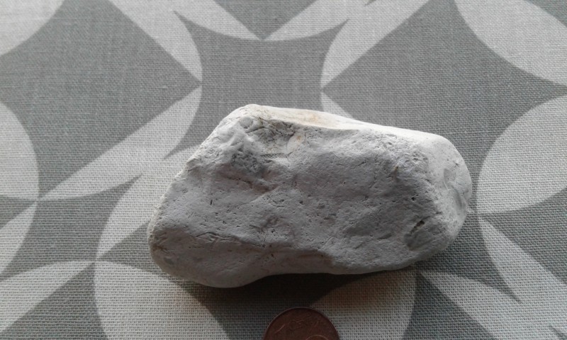 20201031_161659.jpg