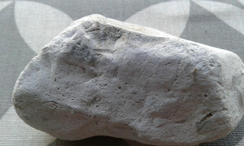 20201031_161849.jpg