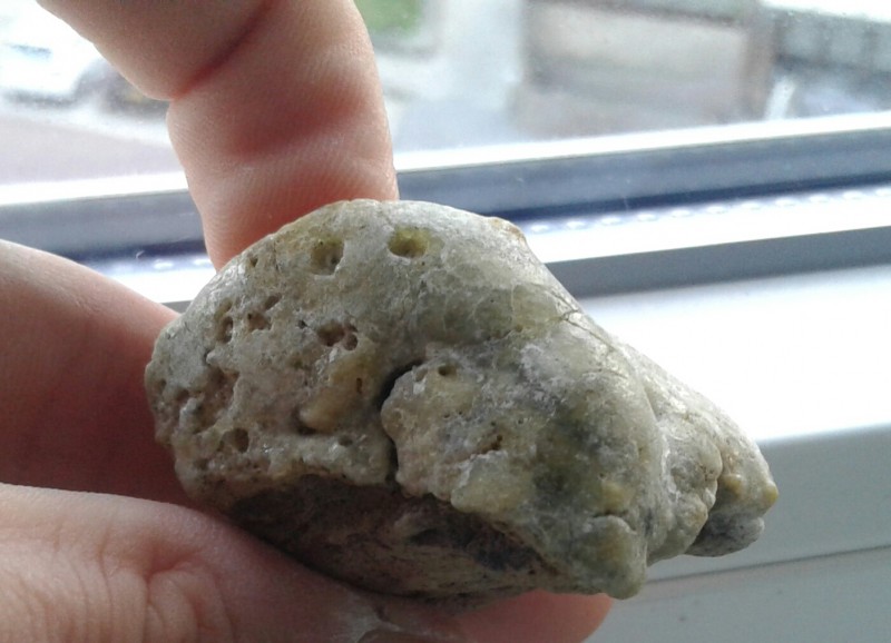 20201031_162810-1.jpg