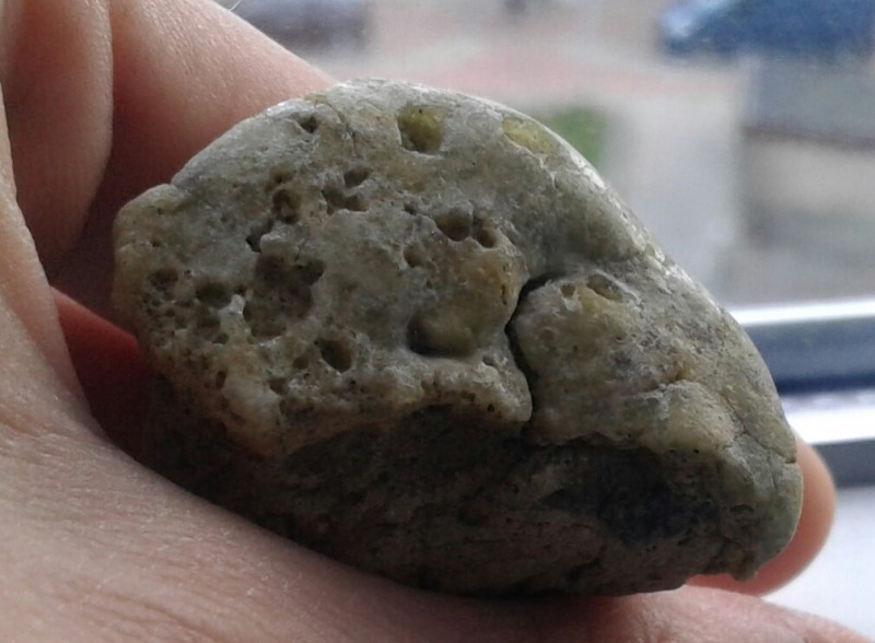 20201031_162850-1.jpg