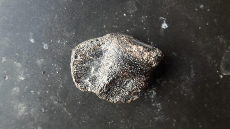 20201106_085306.jpg