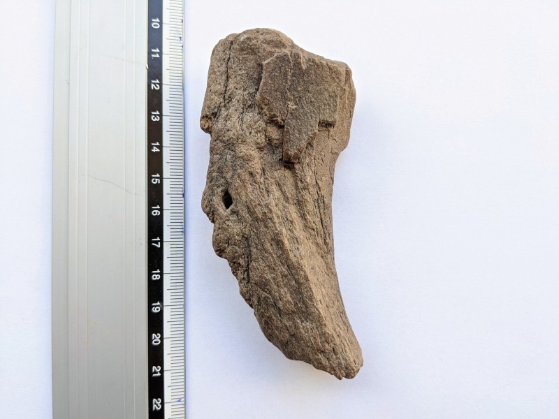 PXL_20201107_112221225~3.jpg