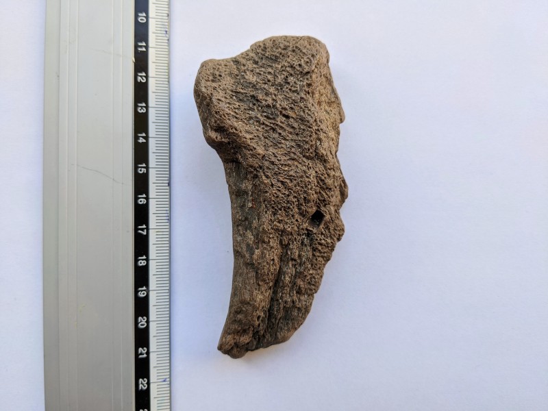PXL_20201107_112243831~4.jpg