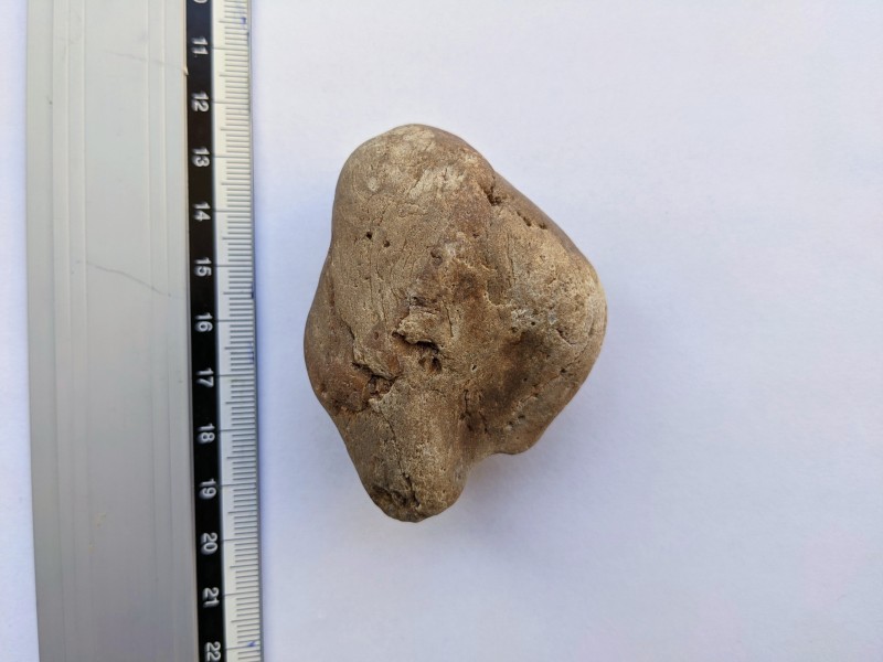 PXL_20201107_112830232~3.jpg
