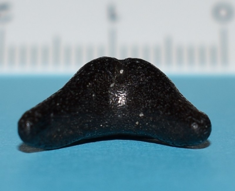 onderkant