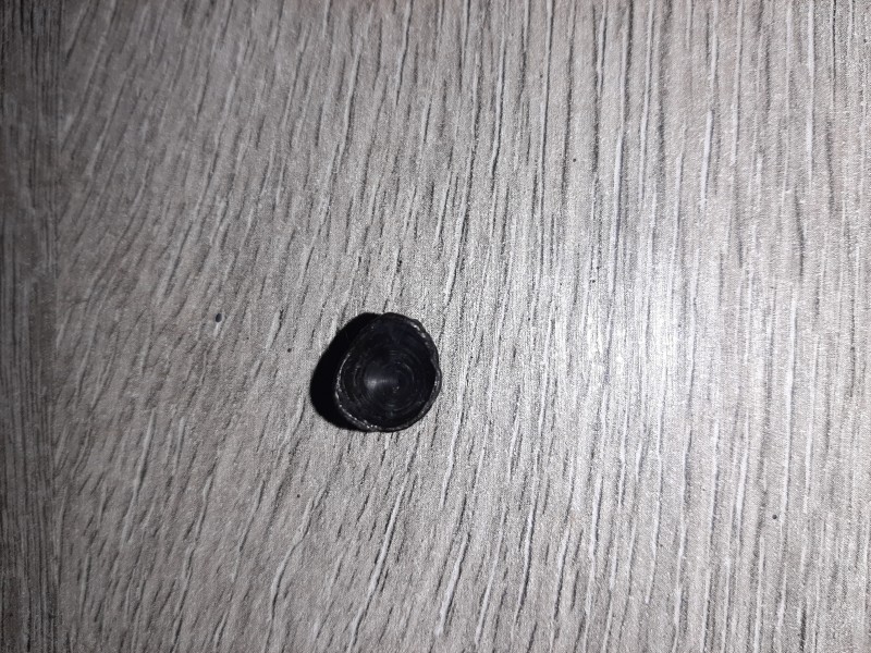20201114_103158.jpg