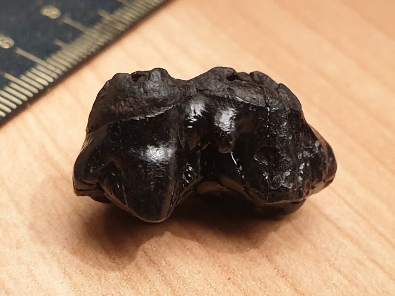 20201121_203519.jpg (1.79 MiB) 1085 keer bekeken 20201121_203519.jpg