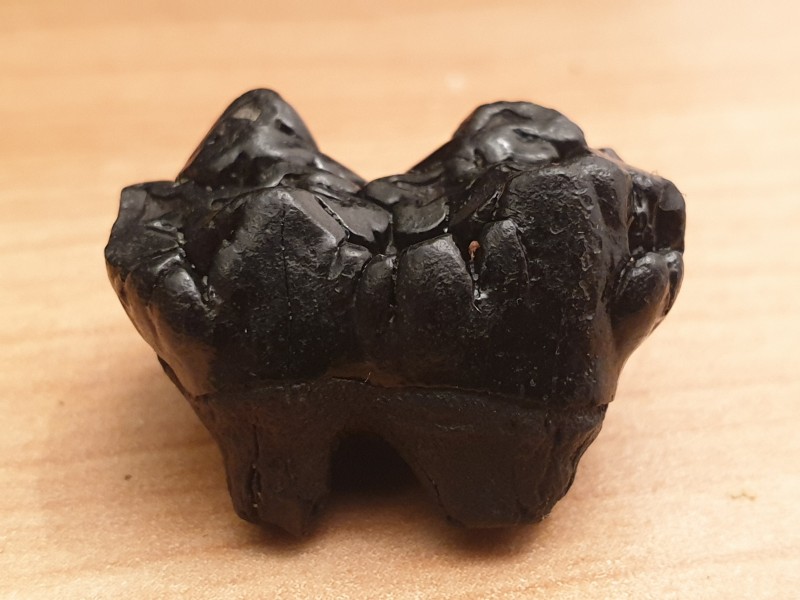 20201121_203448.jpg (1.99 MiB) 1031 keer bekeken 20201121_203448.jpg