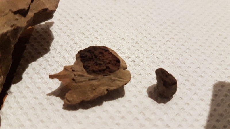 20201204_212858.jpg (2.49 MiB) 1321 keer bekeken 20201204_212858.jpg