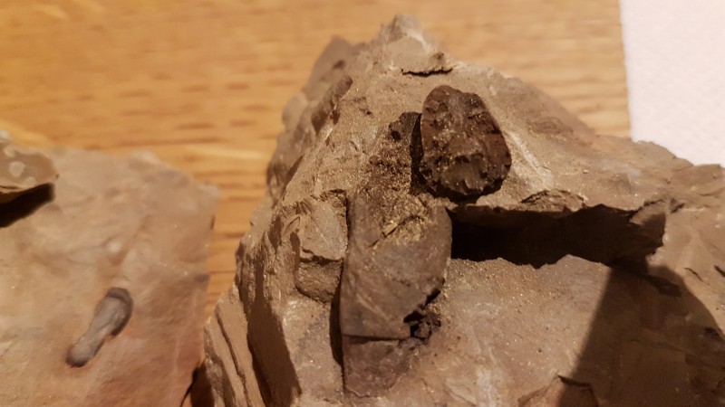 20201204_212840.jpg (2.69 MiB) 1321 keer bekeken 20201204_212840.jpg