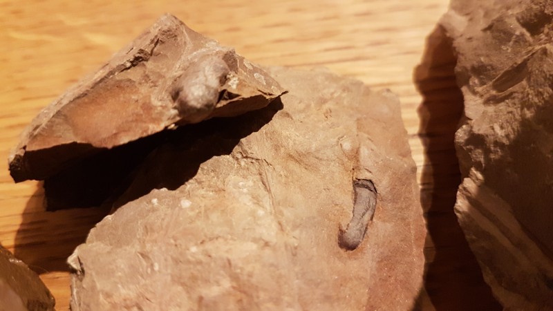 20201204_212832.jpg (2.74 MiB) 1321 keer bekeken 20201204_212832.jpg