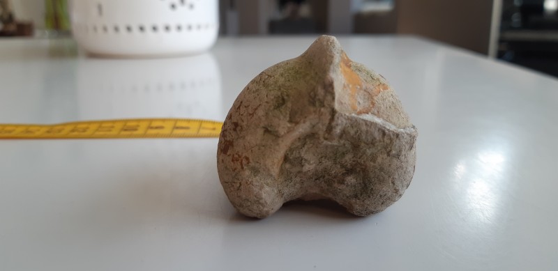 20201204_142511.jpg