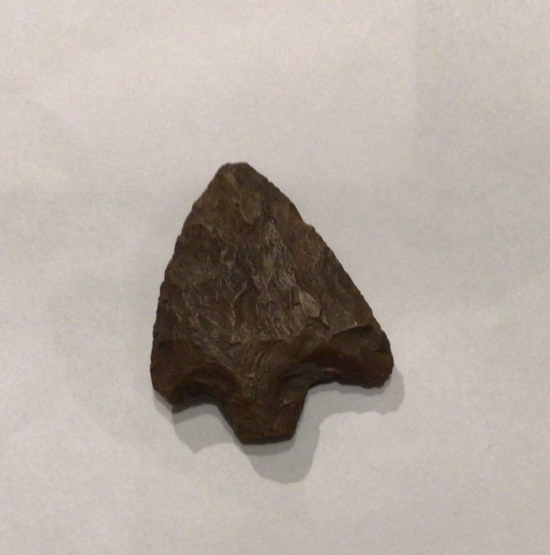 41AA3B3B-3213-45B7-9F15-9B376E9EA2EC.jpeg (353.11 KiB) 3386 keer bekeken 41AA3B3B-3213-45B7-9F15-9B376E9EA2EC.jpeg