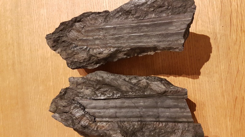 20201212_202504.jpg
