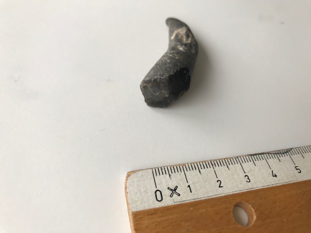 thumbnail_IMG_6019.jpg