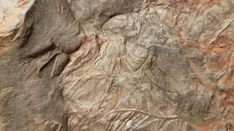 20201222_182721.jpg