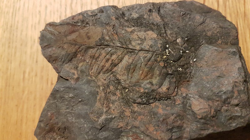 20201222_182543.jpg