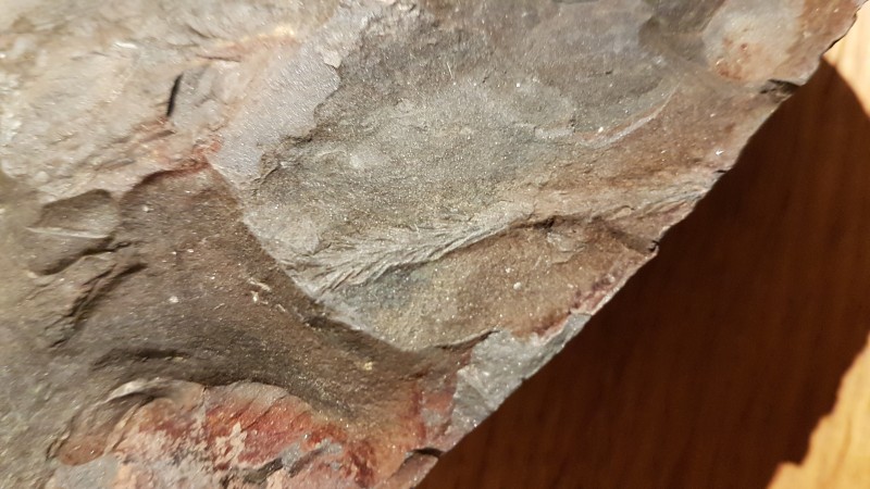 20201222_182436.jpg