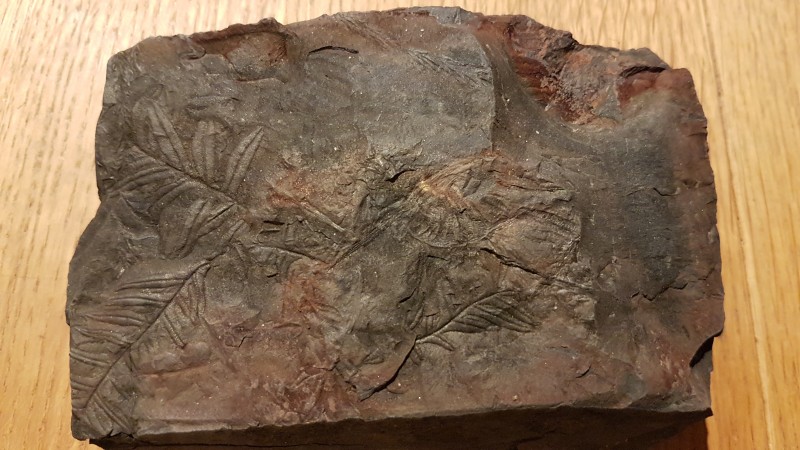 20201222_182226.jpg