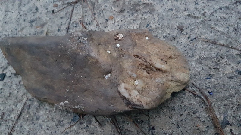 20201222_164155.jpg